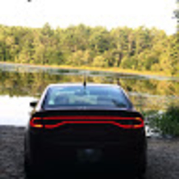 Meet your Posher, Tony - Picture 1 of 1